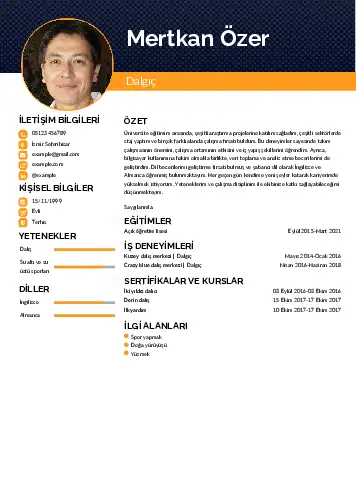 Dalgıç CV Örnekleri cv indir